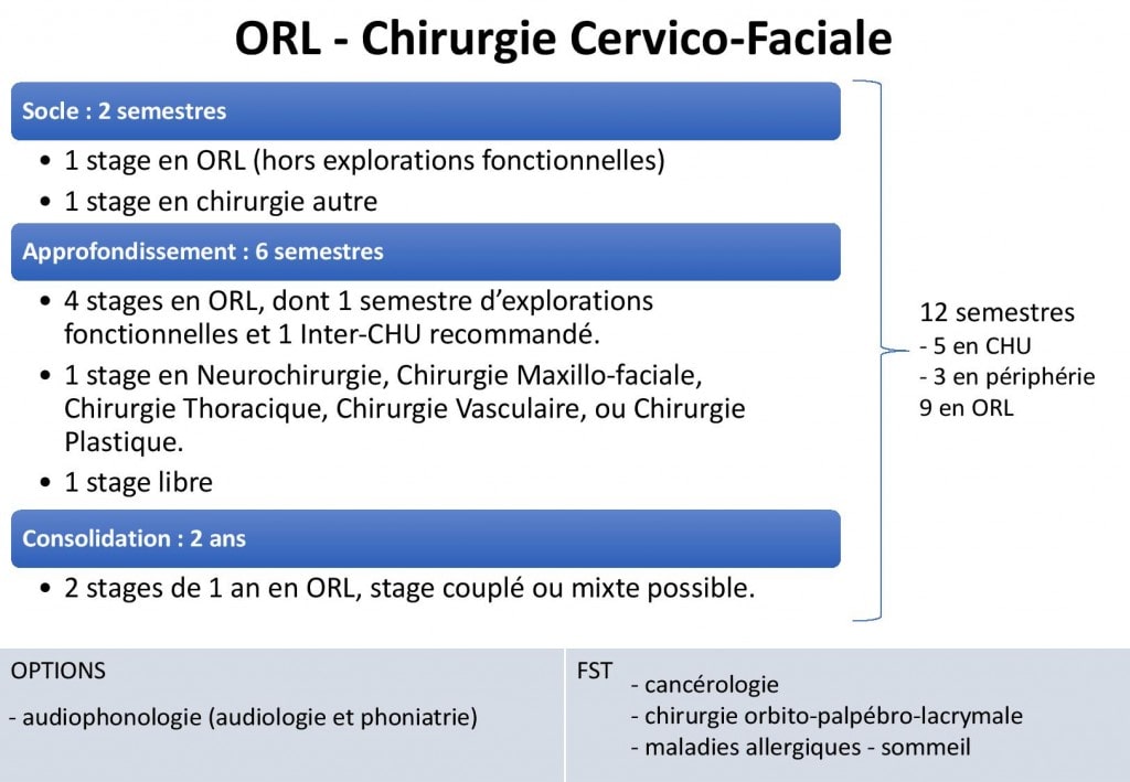 Oto-rhino-laryngologie (ORL) et chirurgie cervico-faciale