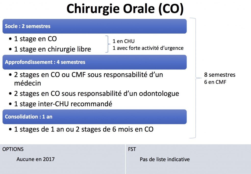 Maquette Chirurgie Orale